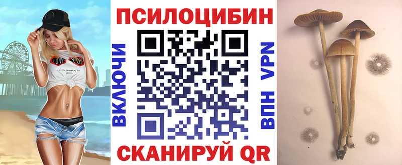 Галлюциногенные грибы ЛСД мега сайт Жуковка