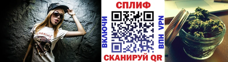 где купить наркоту  Жуковка  Конопля AK-47 